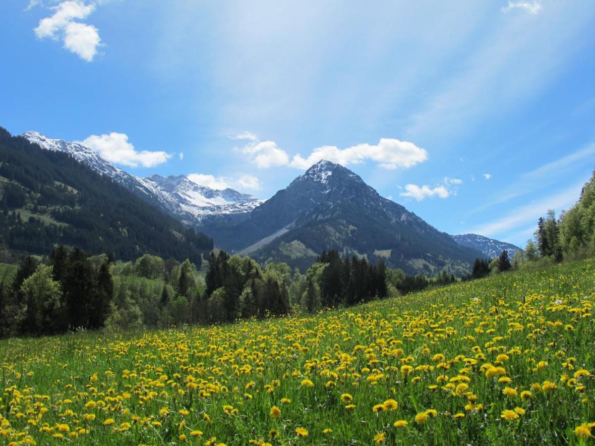 Hornblick Fewo- Ab Mai Freie Fahrt Mit Bergbahnen Oberstdorf Ngoại thất bức ảnh