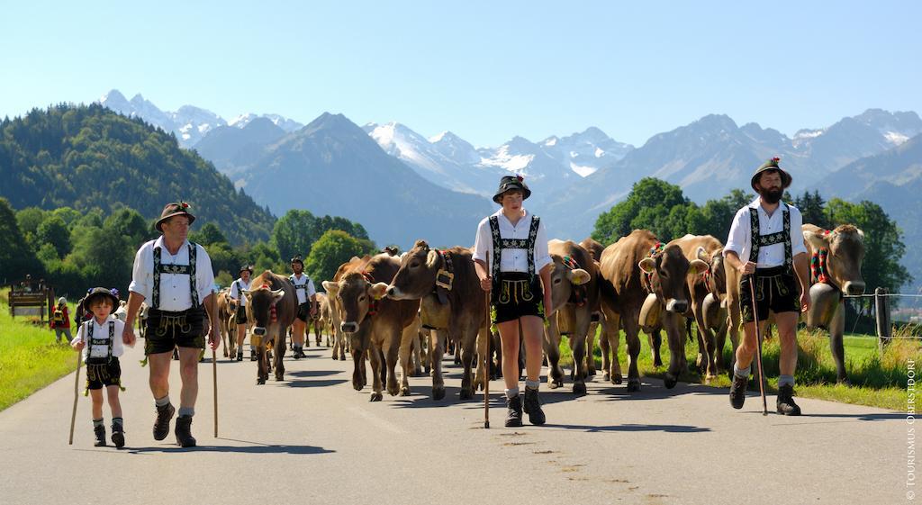Hornblick Fewo- Ab Mai Freie Fahrt Mit Bergbahnen Oberstdorf Ngoại thất bức ảnh